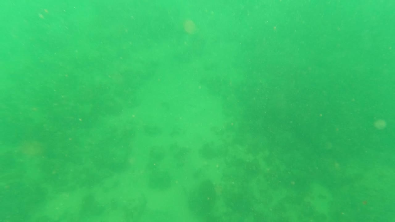 Submerged green water in Los Barriles, Baja California Sur, with faint rocks and sandy bottom visible through haze, no visible people.