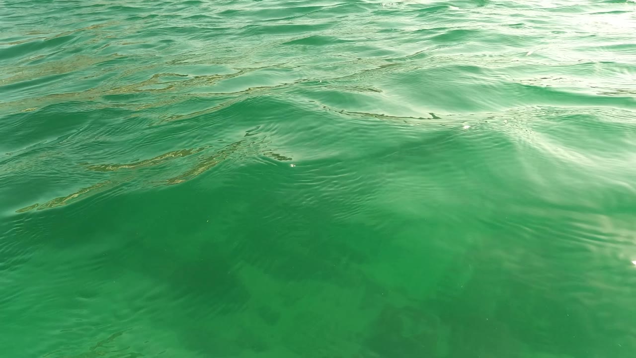 Near-surface green ocean water in Los Barriles with small ripples, bright reflections, and darker seabed tones below the surface.