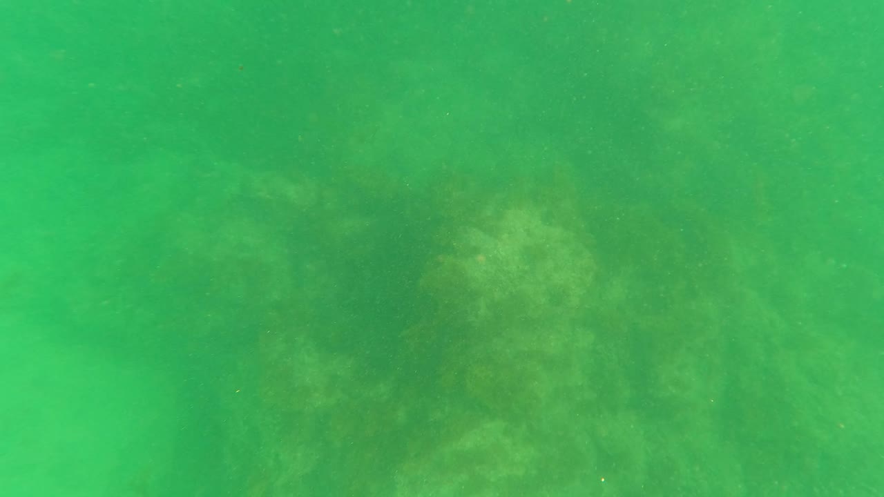 Underwater frame from Los Barriles showing darker rock shapes under green water, with algae on the seabed and no visible people.