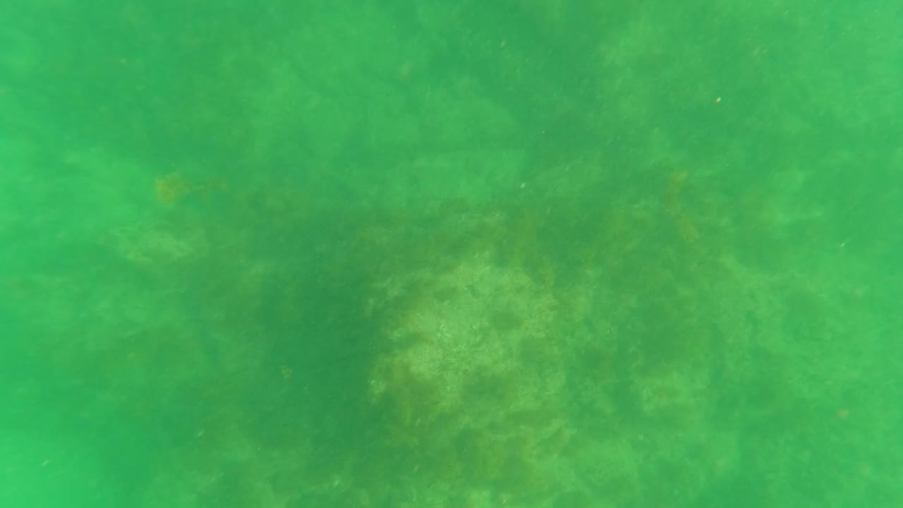 Underwater frame from Los Barriles showing a hazy green view across the rocky seabed, with algae patches and no visible people.