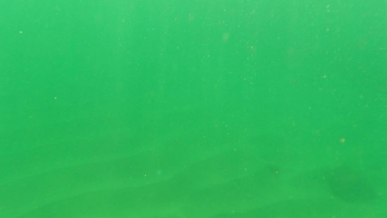 Green-tinted underwater frame in Los Barriles, Baja California Sur, Mexico, showing a soft sandy bottom through the water with no visible people.