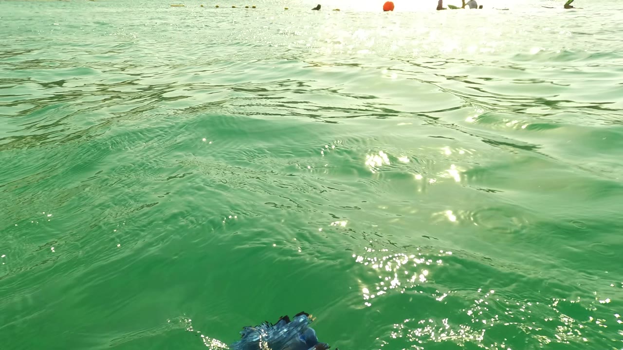 Water surface with sun glare, beach in background, and blue gear at lower edge