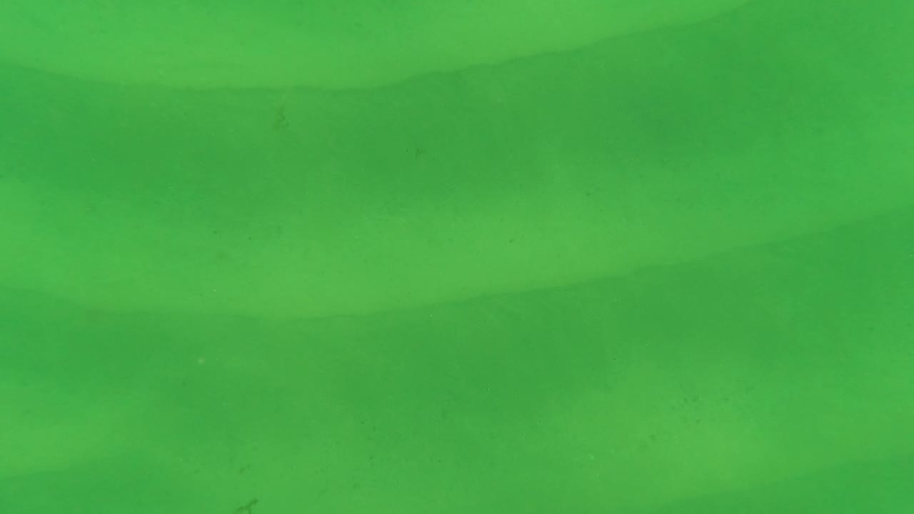 Green underwater view of rippled sand
