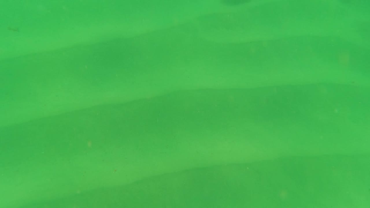 Underwater Los Barriles view with green water over a sandy seabed, broad ripple bands, and no visible people.