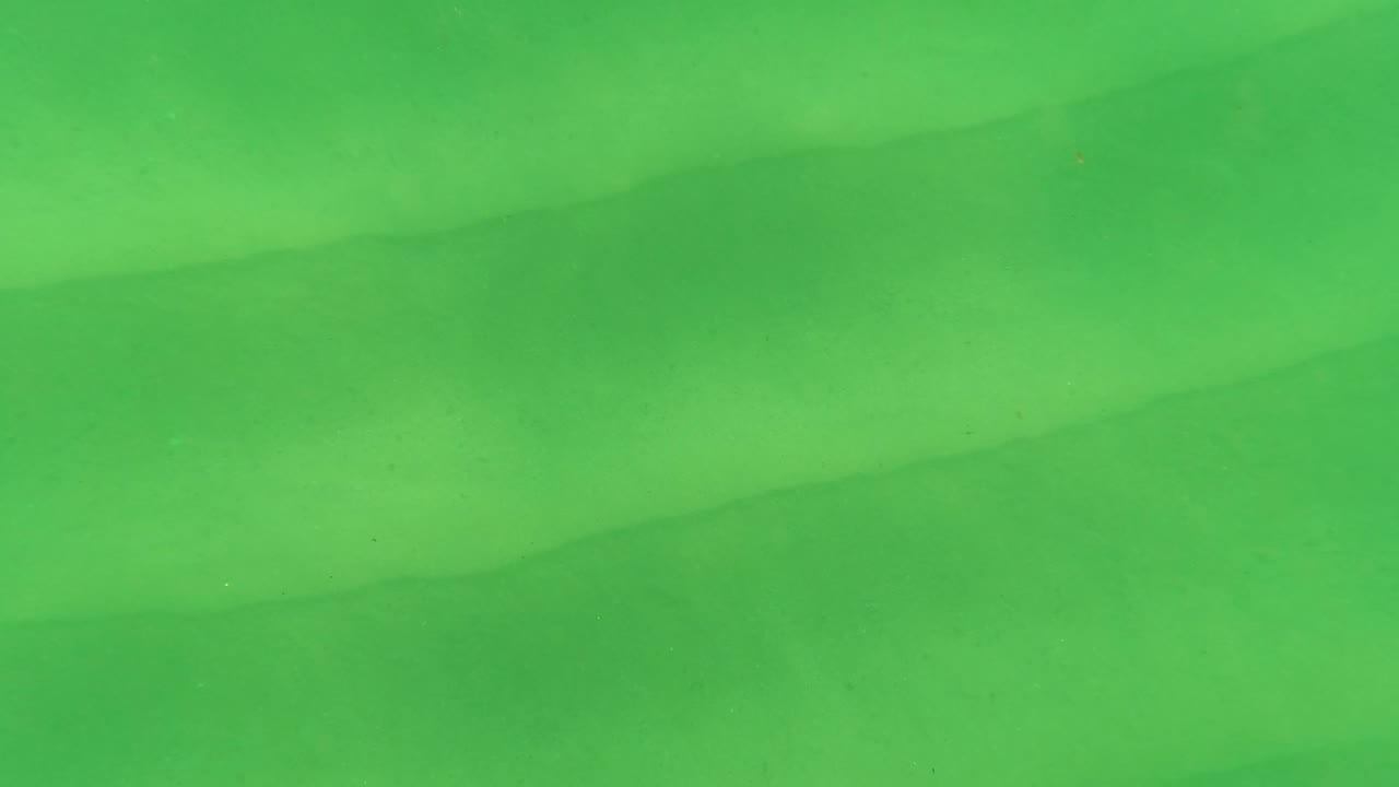 Green underwater frame in Los Barriles with rippled sand and darker seagrass or marine vegetation patches beginning to show, with no visible people.