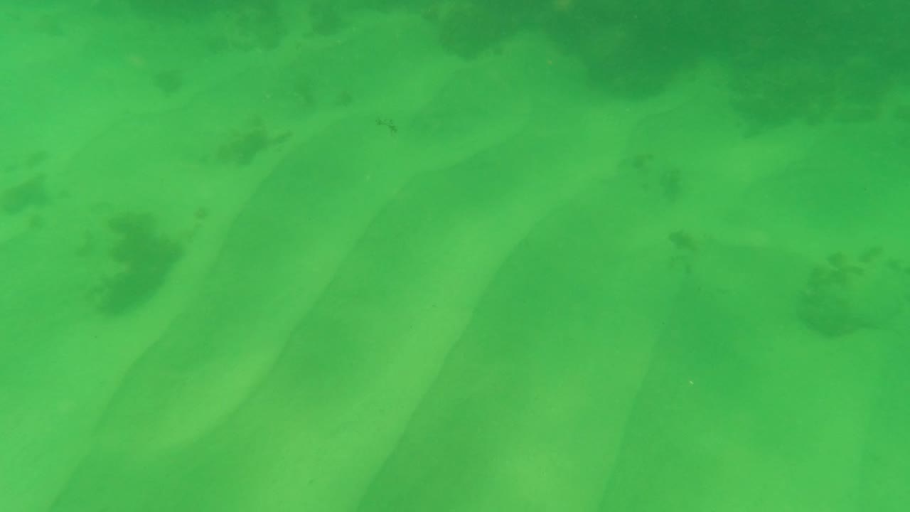 Los Barriles underwater view showing pale sandy seabed, soft green water, and scattered dark seagrass patches, with no visible people.