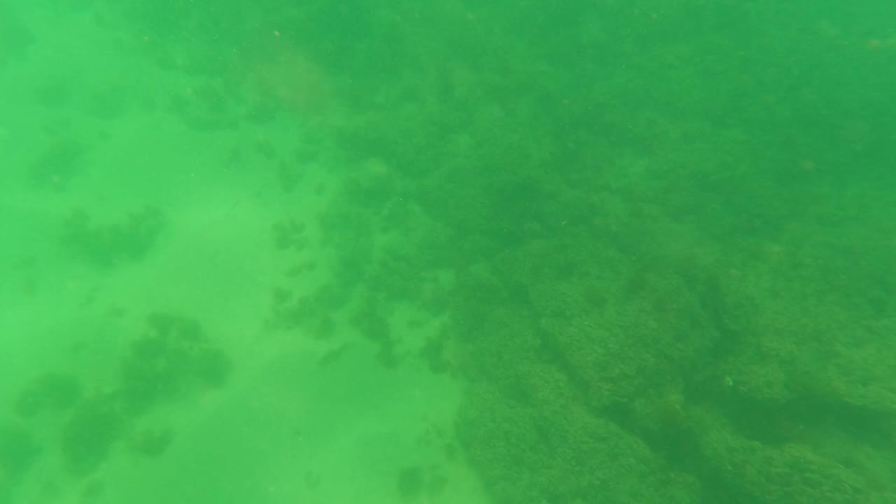Green underwater view of sandy seabed and dark algae patches.