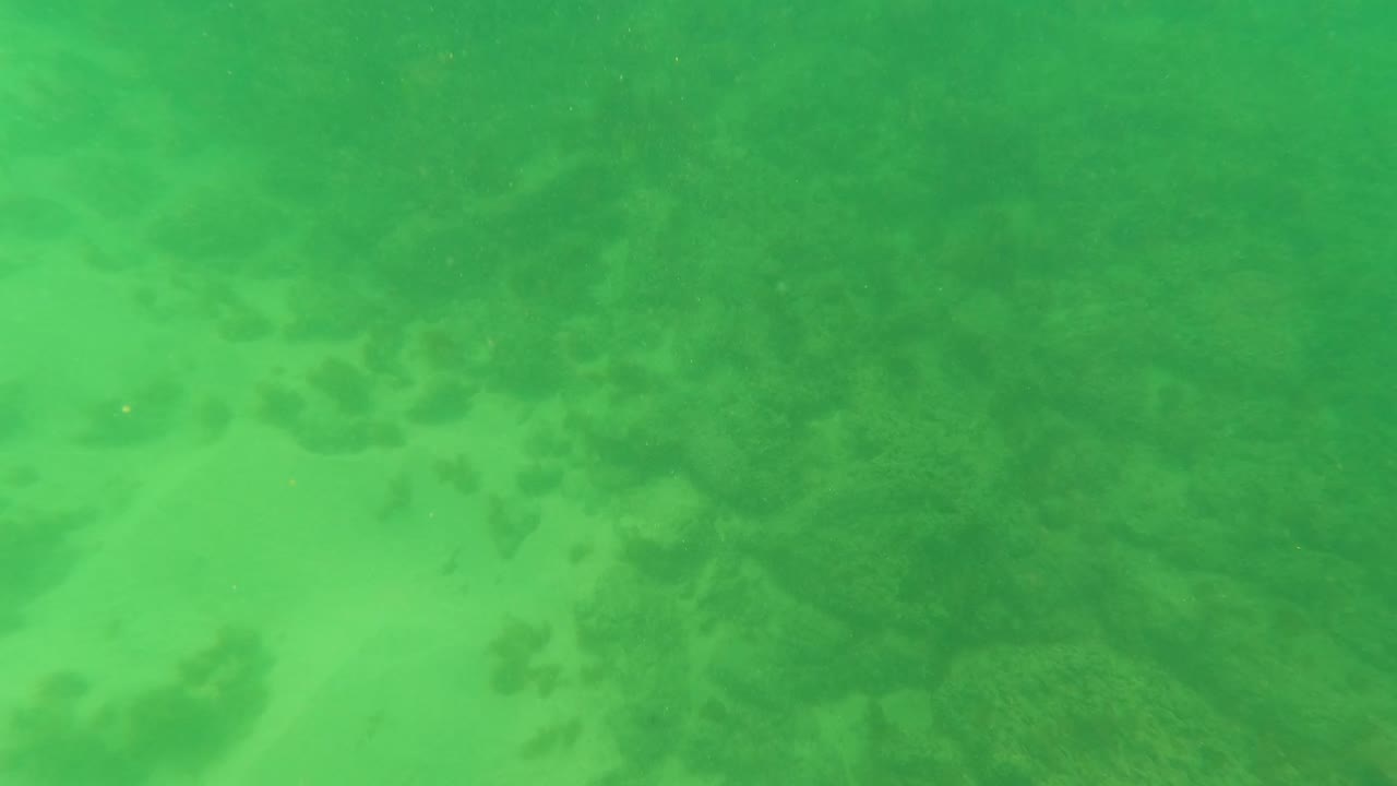 Underwater frame from Los Barriles, Baja California Sur, with sandy seabed, dark rock patches, green water cast, and no visible people.