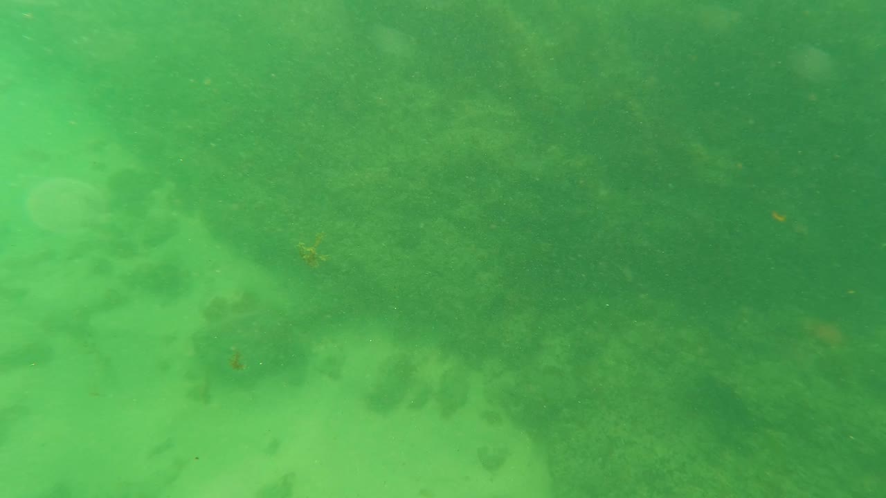 Underwater frame in Los Barriles, Baja California Sur, showing green clear water over a sandy seabed with darker rock patches and no visible people.