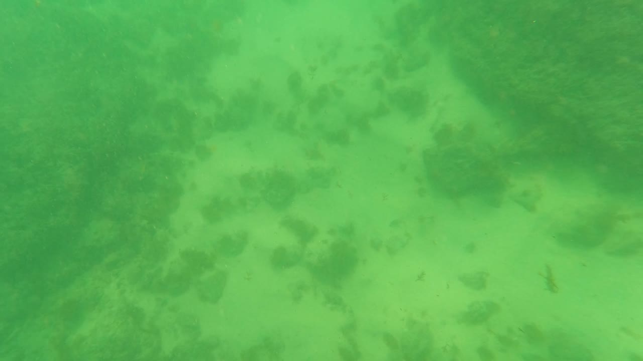 Mid-clip underwater frame in Los Barriles, Baja California Sur, with diffuse green water, muted seabed texture, scattered darker patches, and no visible people.