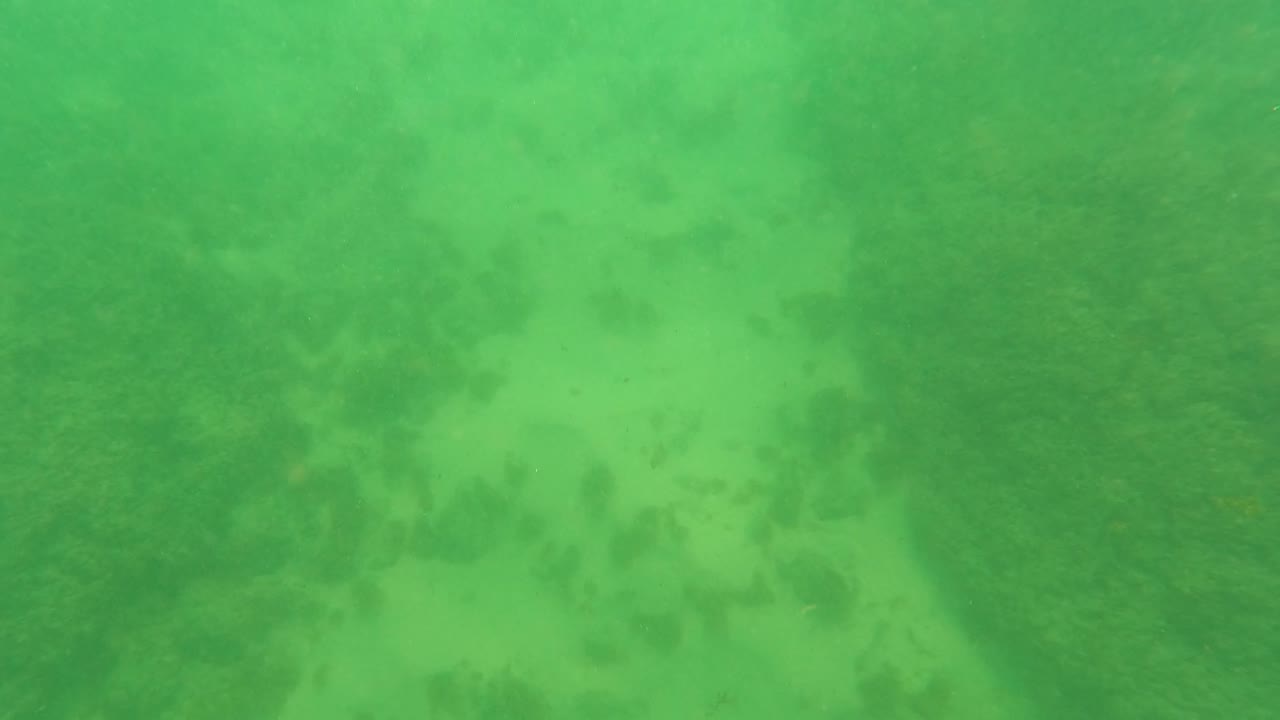 Later underwater frame in Los Barriles, Baja California Sur, where green water softens the sandy bottom and darker rock shapes, with no visible people.