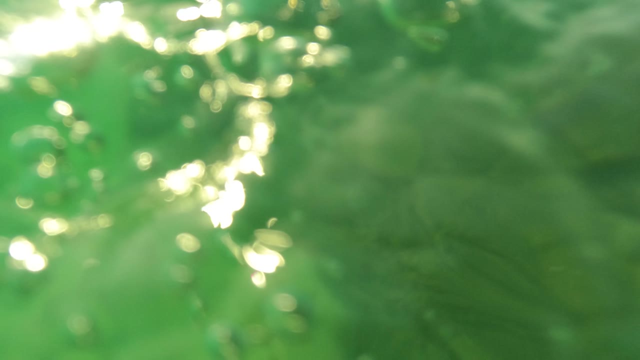 Soft underwater view of green water with bright surface reflections