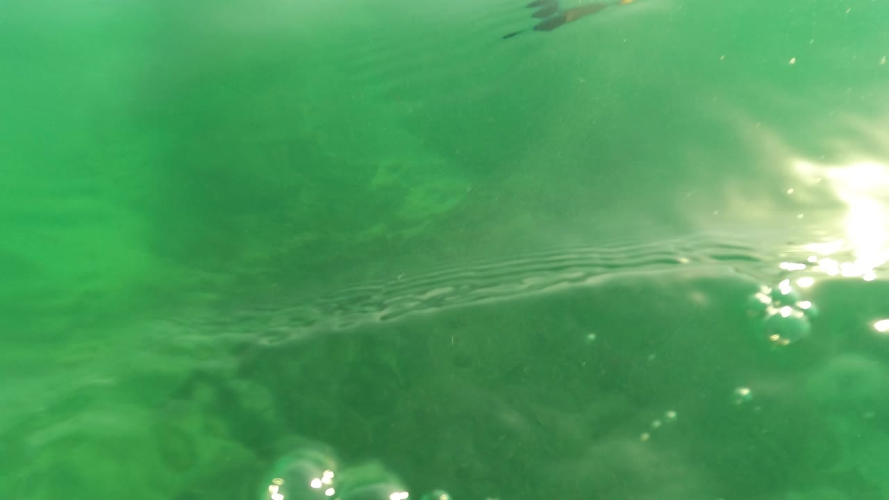 Green water surface seen from underwater in Los Barriles, Baja California Sur, with bright glare near the right side, soft ripples across the frame, and no visible people.