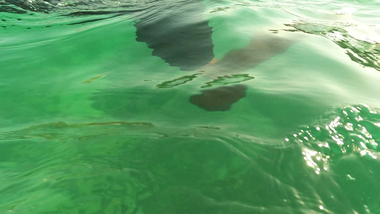 Underwater view in Los Barriles, Baja California Sur, showing green rippled water, surface reflections, and dark indistinct submerged shapes near the top edge, with no visible people.