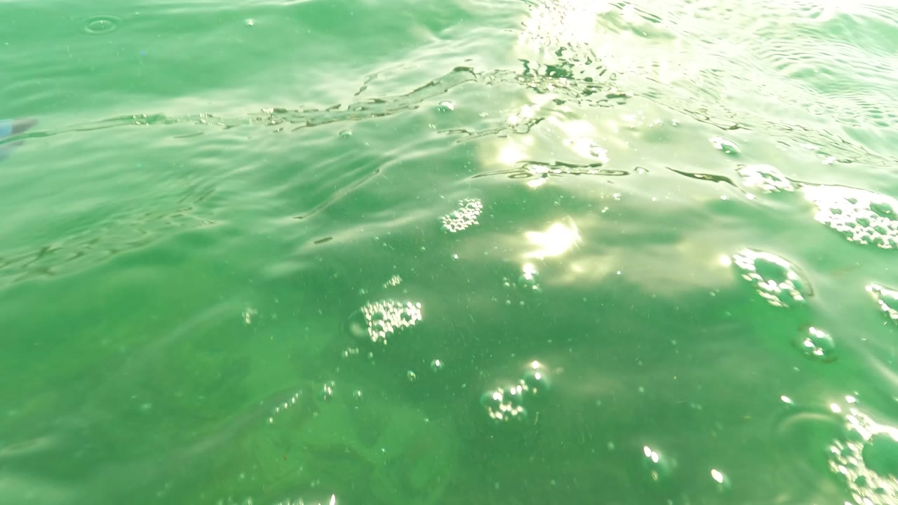 Green underwater surface with ripples, bubbles, and sunlight reflections.