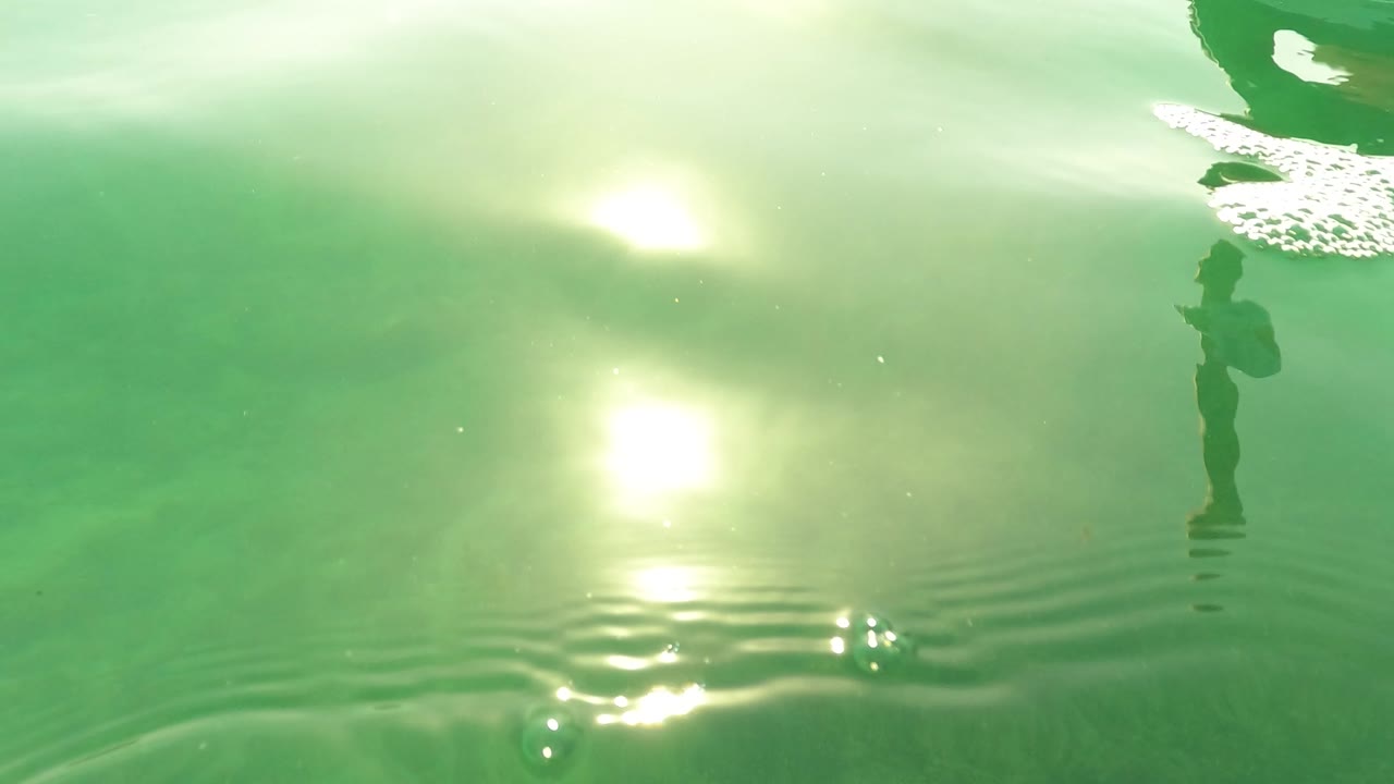 Underwater view in Los Barriles, Baja California Sur, looking up at bright sunlight reflected on a rippled green water surface.