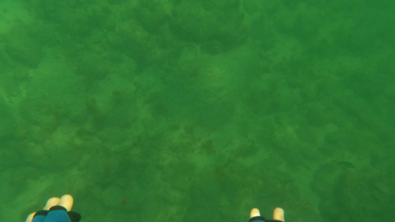 Sandy and rocky seabed seen through green water with swimmer feet at the lower edge.