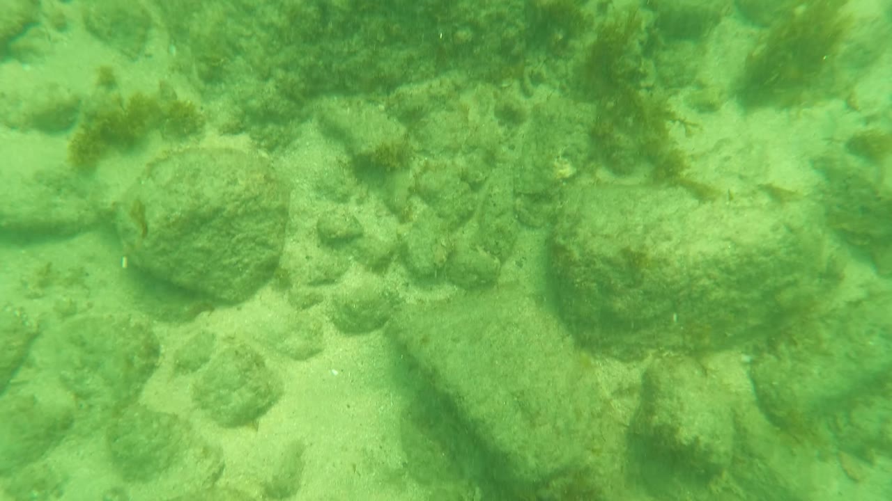 Underwater view in Los Barriles, Baja California Sur, showing green-tinted water over a sandy seabed with scattered rocks, seaweed, and no visible people.