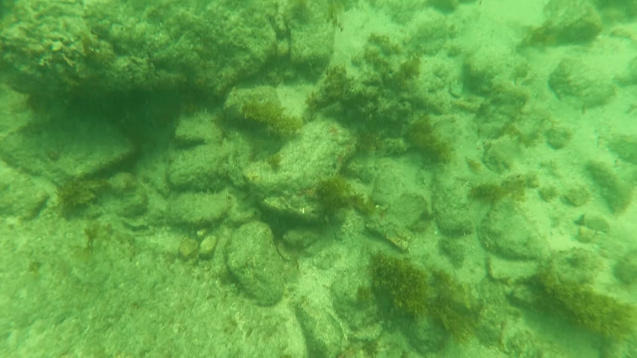 Underwater seabed with rocks, sand, and darker seaweed patches.