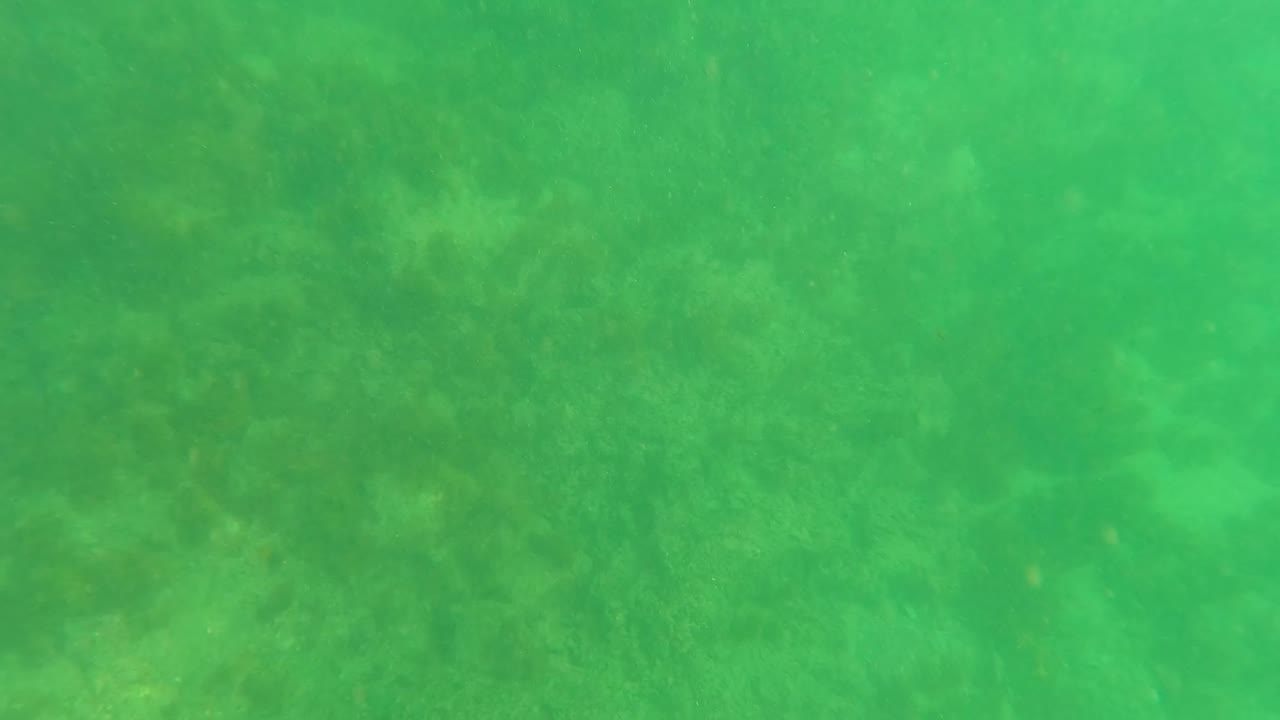 Underwater view in Los Barriles, Baja California Sur, showing green water over a rocky seabed with scattered seaweed and no visible people.