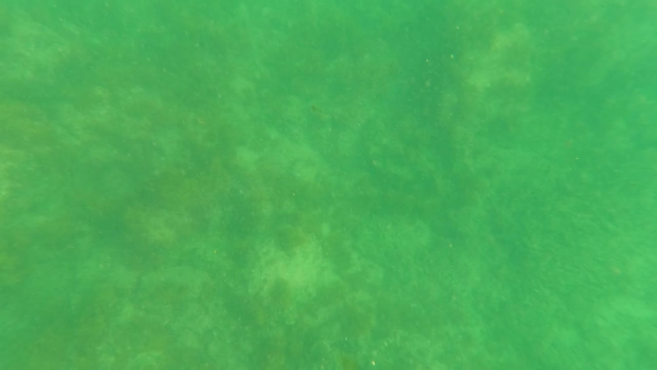 Rocky ocean floor seen through green water.