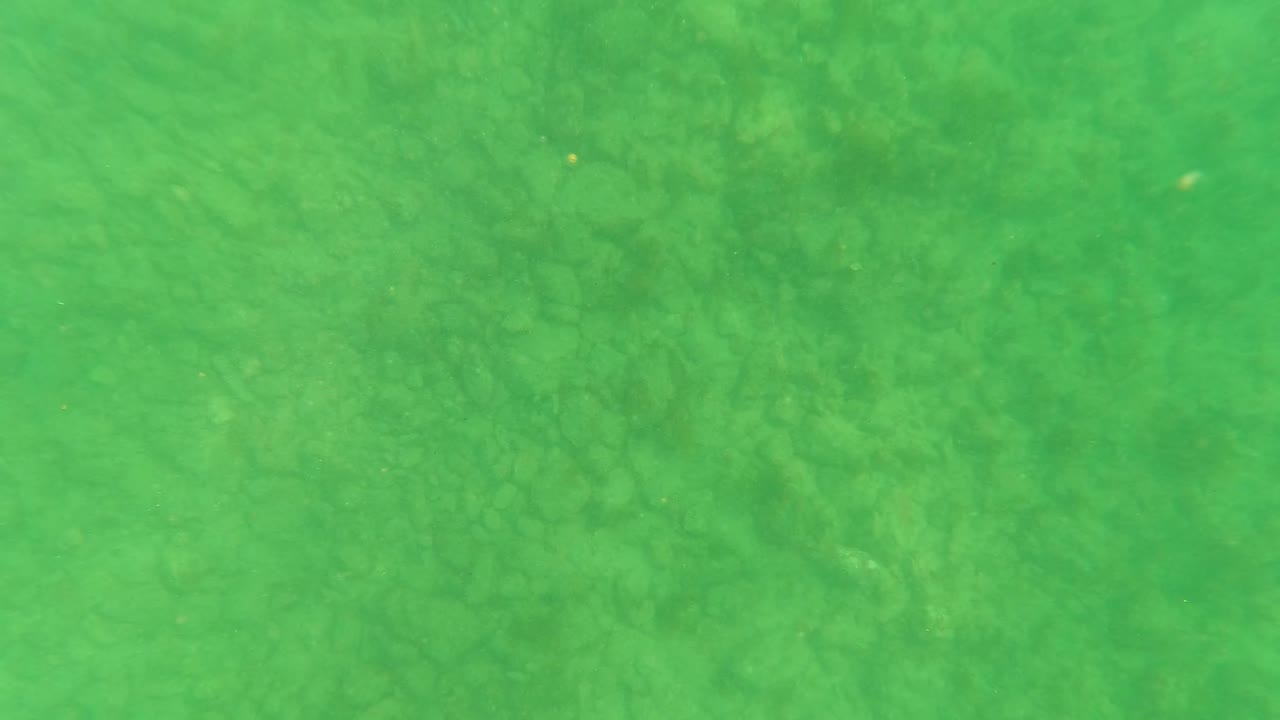 Green underwater view of a faint ocean floor with suspended particles.