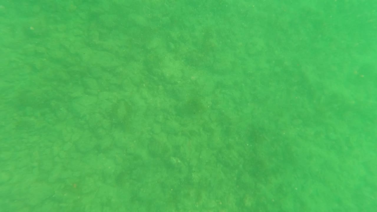 Green underwater frame from Los Barriles showing a muted seabed beneath cloudy water, small floating particles, and no visible people.