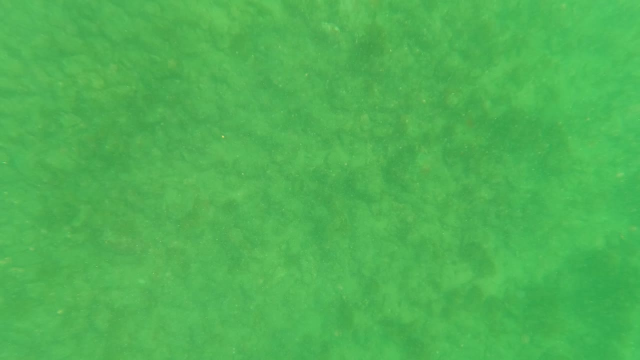 Hazy green underwater view in Los Barriles, Baja California Sur, with the ocean floor faintly visible through suspended sediment and no visible people.