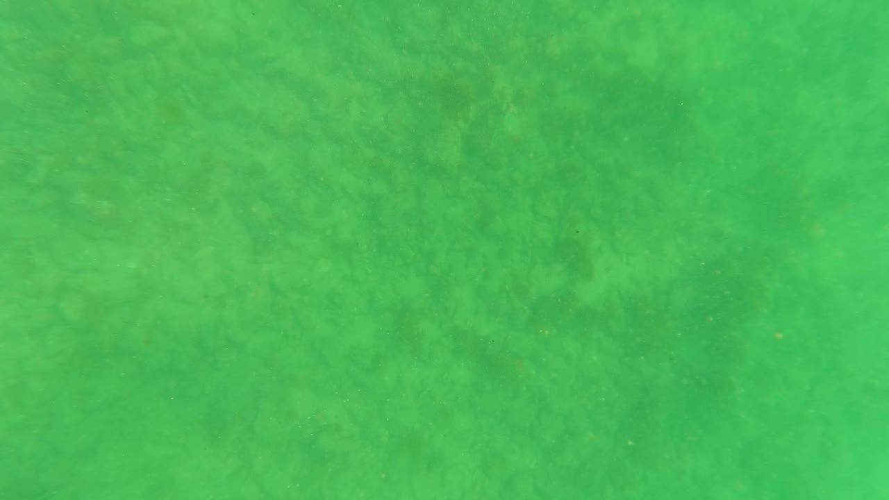 Green shallow-water view of the seabed in Los Barriles, with cloudy visibility, scattered particles, and no visible people or objects.