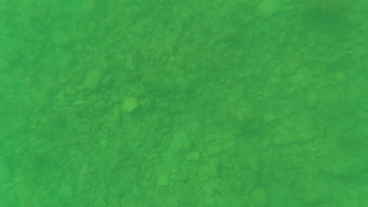 Green-tinted underwater view of the ocean floor in Los Barriles, Baja California Sur, with faint rocks and sediment visible and no visible people.