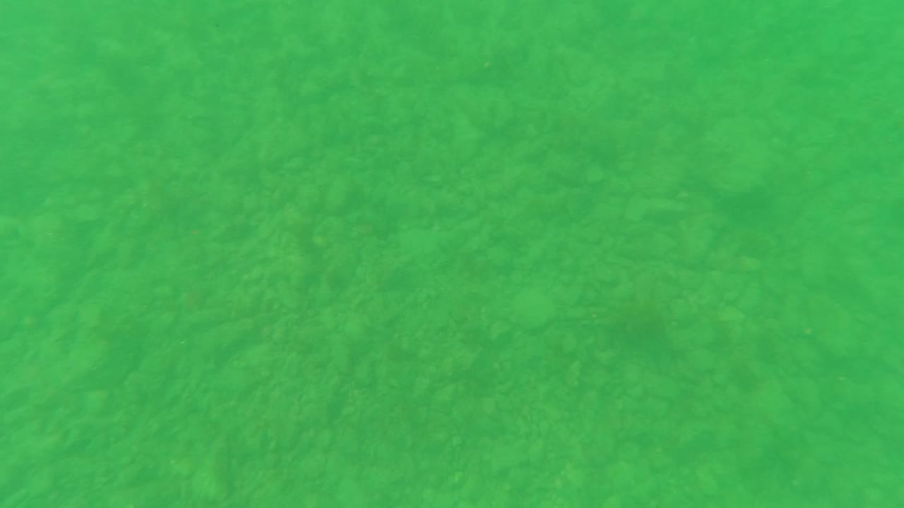 Underwater frame from Los Barriles with green water, muted sediment patterns, scattered small stones, and no visible people.
