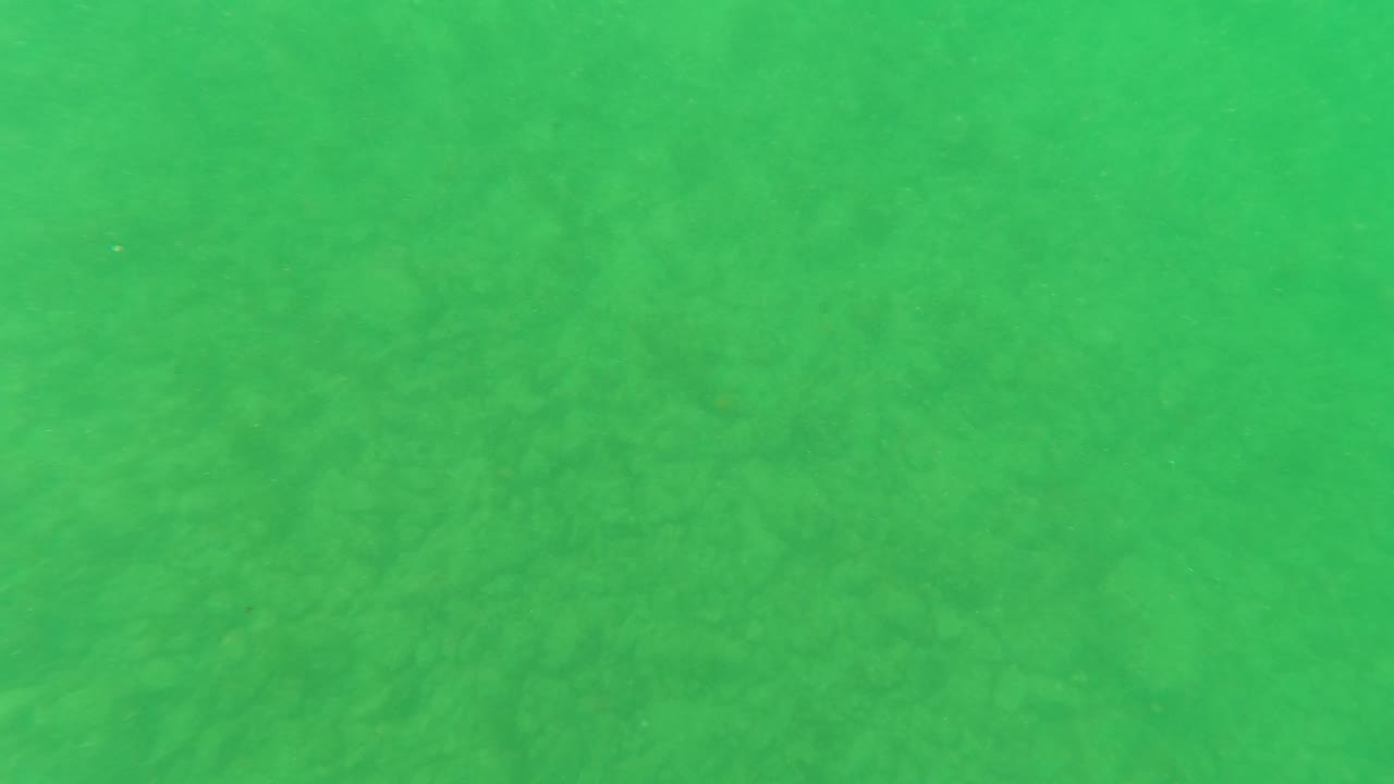 Hazy green underwater view in Baja California Sur with the ocean floor barely defined by scattered rocks and sediment, with no visible people.