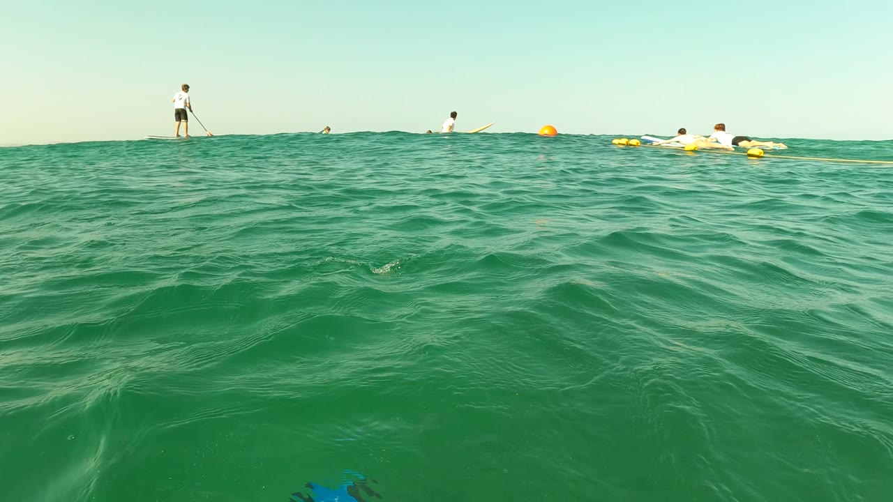Paddleboarder and swimmers beyond green ocean waves.