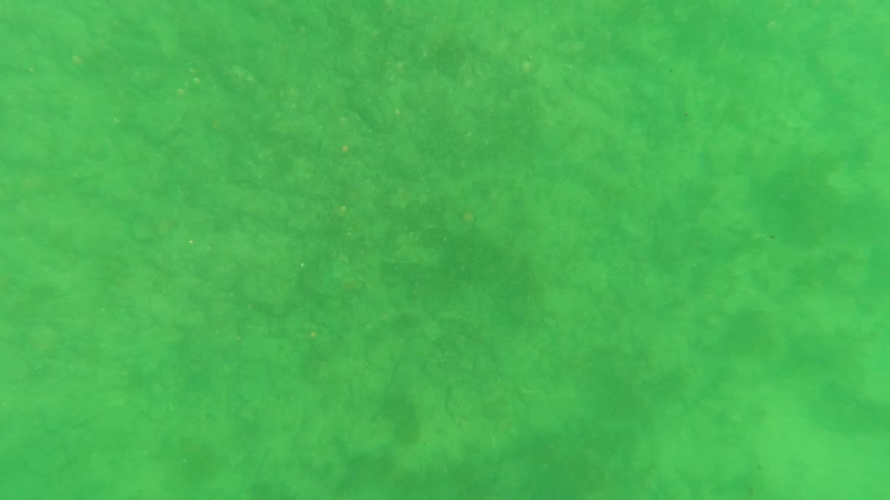 Murky green underwater view in Los Barriles, Baja California Sur, with suspended particles and no visible people.