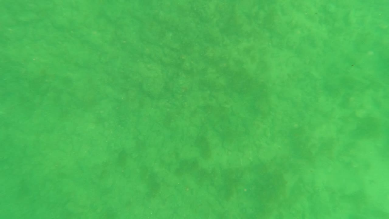 Green underwater frame in Los Barriles, Baja California Sur, showing cloudy water texture and no visible people.