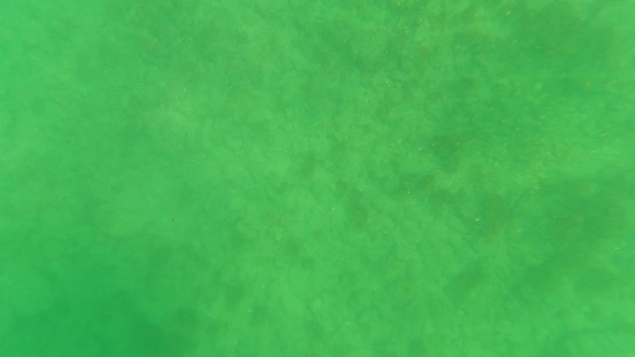 Underwater green field in Los Barriles, Baja California Sur, with faint darker patches in the water and no visible people.