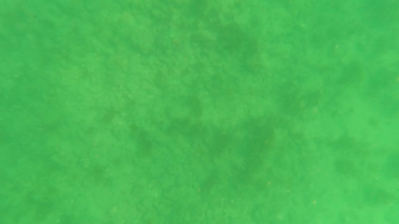 Green water near the surface with faint rippling light