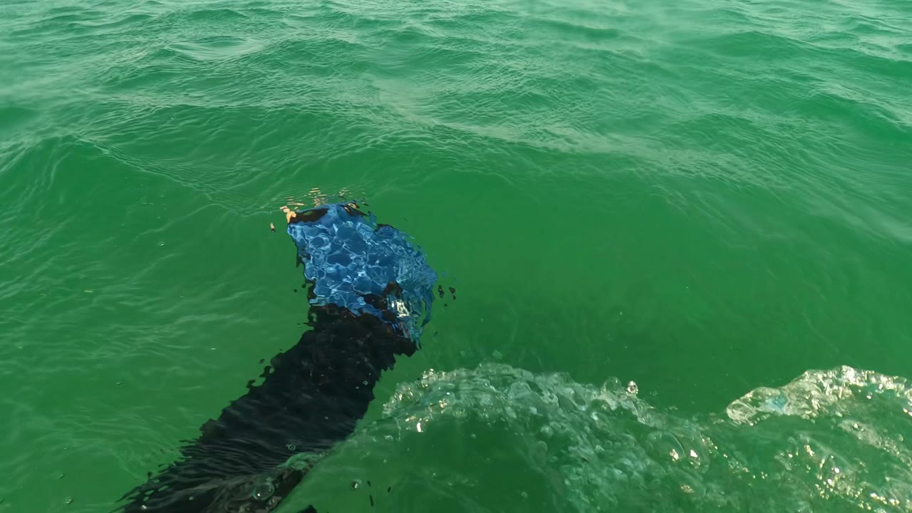 A swimmer in dark clothing with a blue item or swim gear is partly visible at the right edge of the green ocean surface in Los Barriles, with no beach visible in this closer water view.