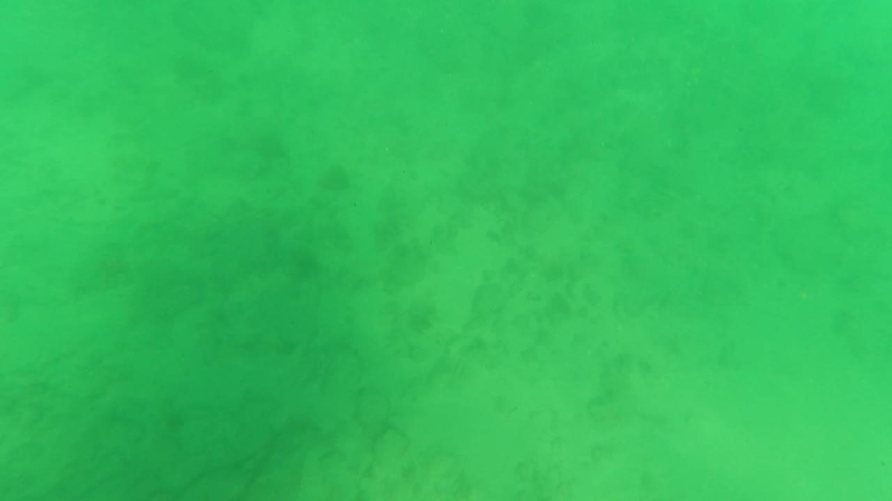 Green underwater water with faint seabed haze