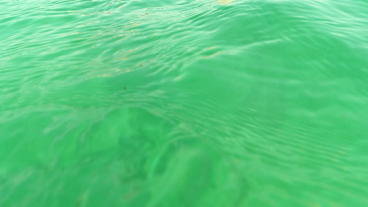 Submerged view in Los Barriles, Baja California Sur, looking up toward rippled green surface water with no visible people.