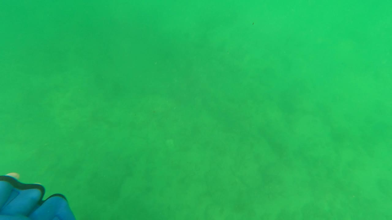 Blue-gloved diver hand entering the right side of green underwater water in Los Barriles, Baja California Sur, with no visible people or faces.