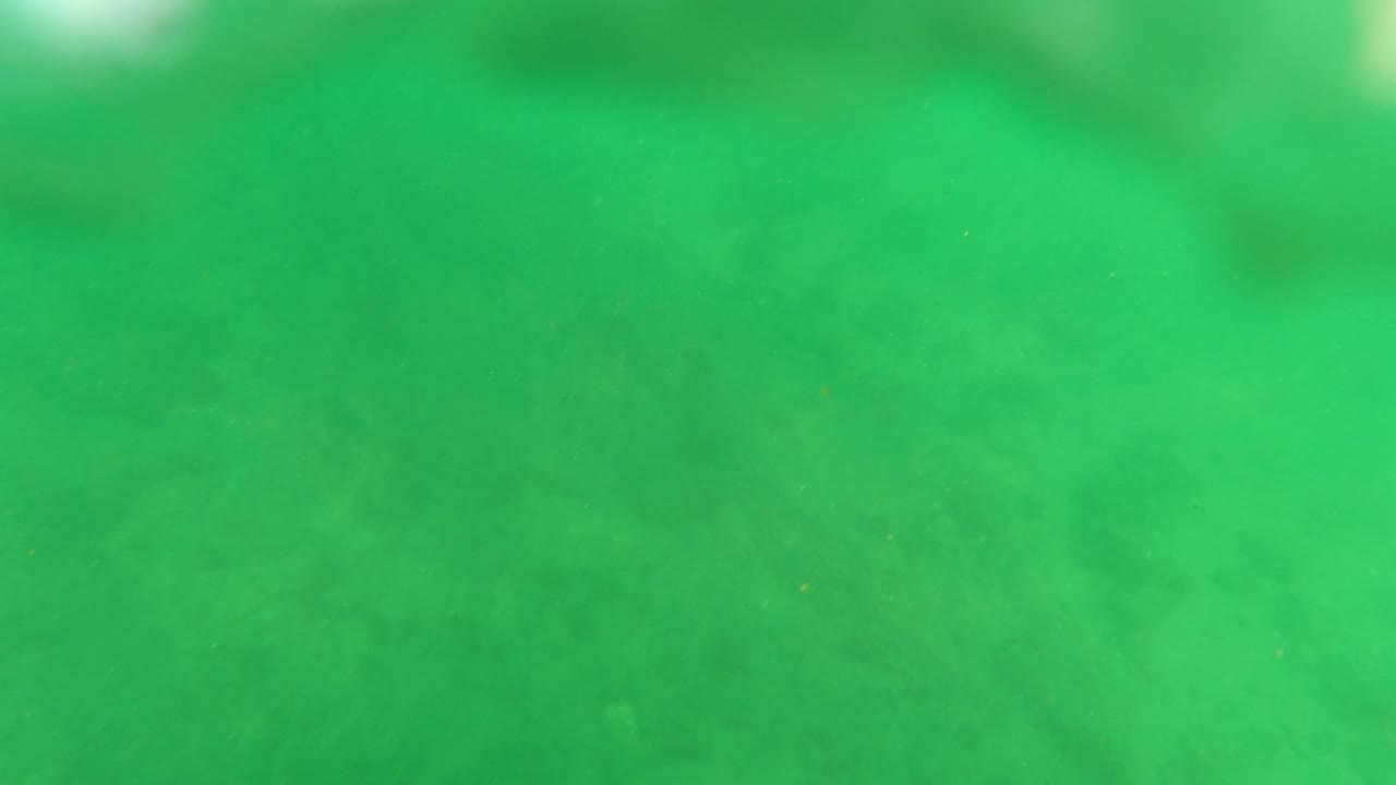 Soft, blurred green underwater frame in Los Barriles, Baja California Sur, with indistinct darker shapes and no visible people.