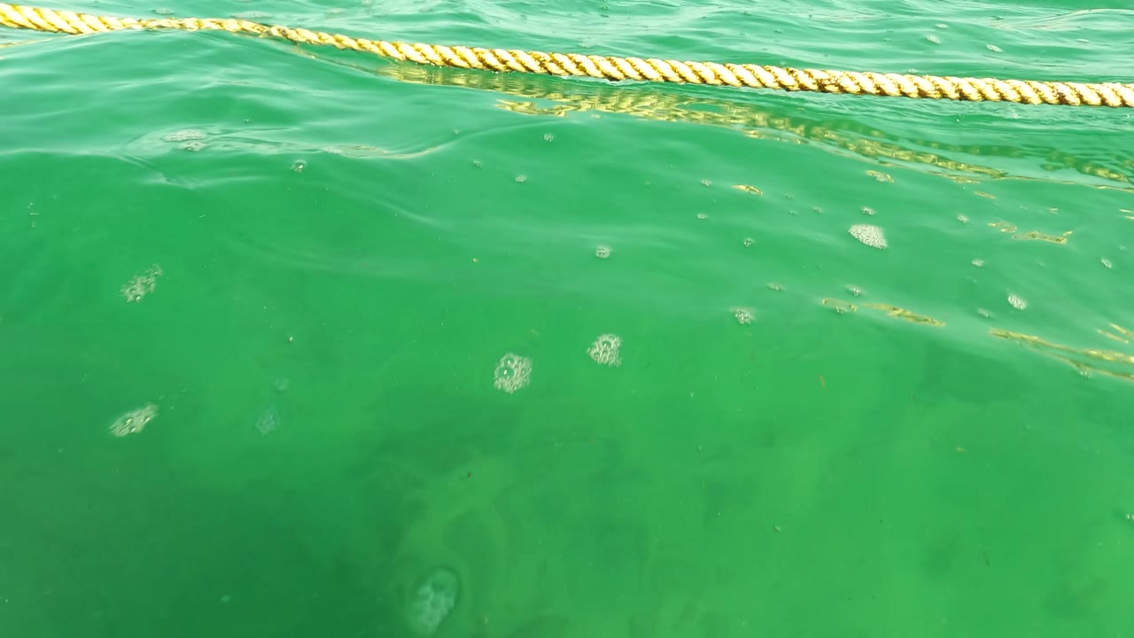 A yellow floating rope crosses the foreground of green ocean water in Los Barriles, with bubbles below the surface and no visible people in this frame.