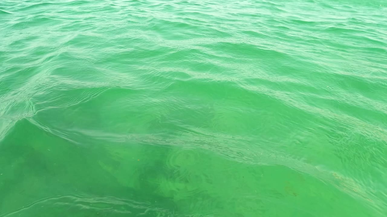 Underwater-leaning water-level view of turquoise ocean surface in Los Barriles, Baja California Sur, with a distant sandy shore and no visible people.