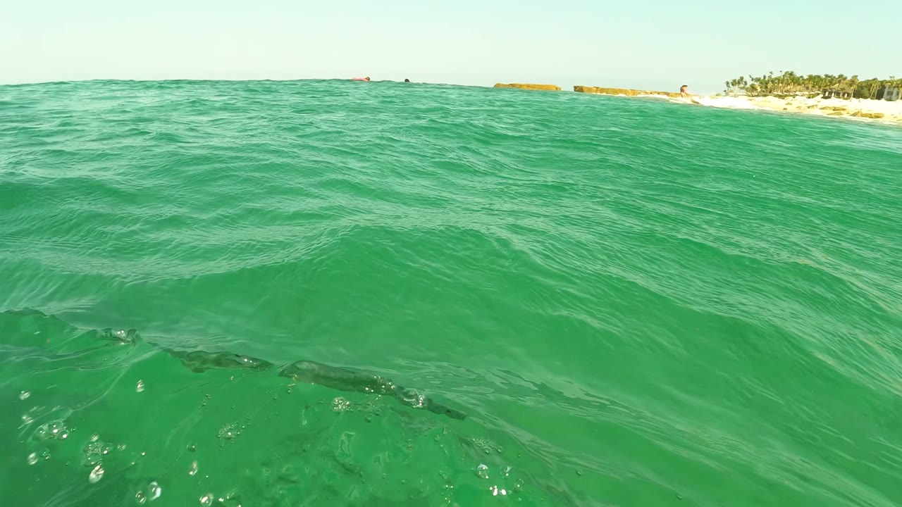 Green ocean surface with low waves and a distant beach on the horizon.