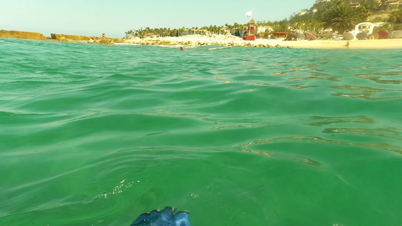 Green sea surface with beach, palms, and a small red structure in the distance.