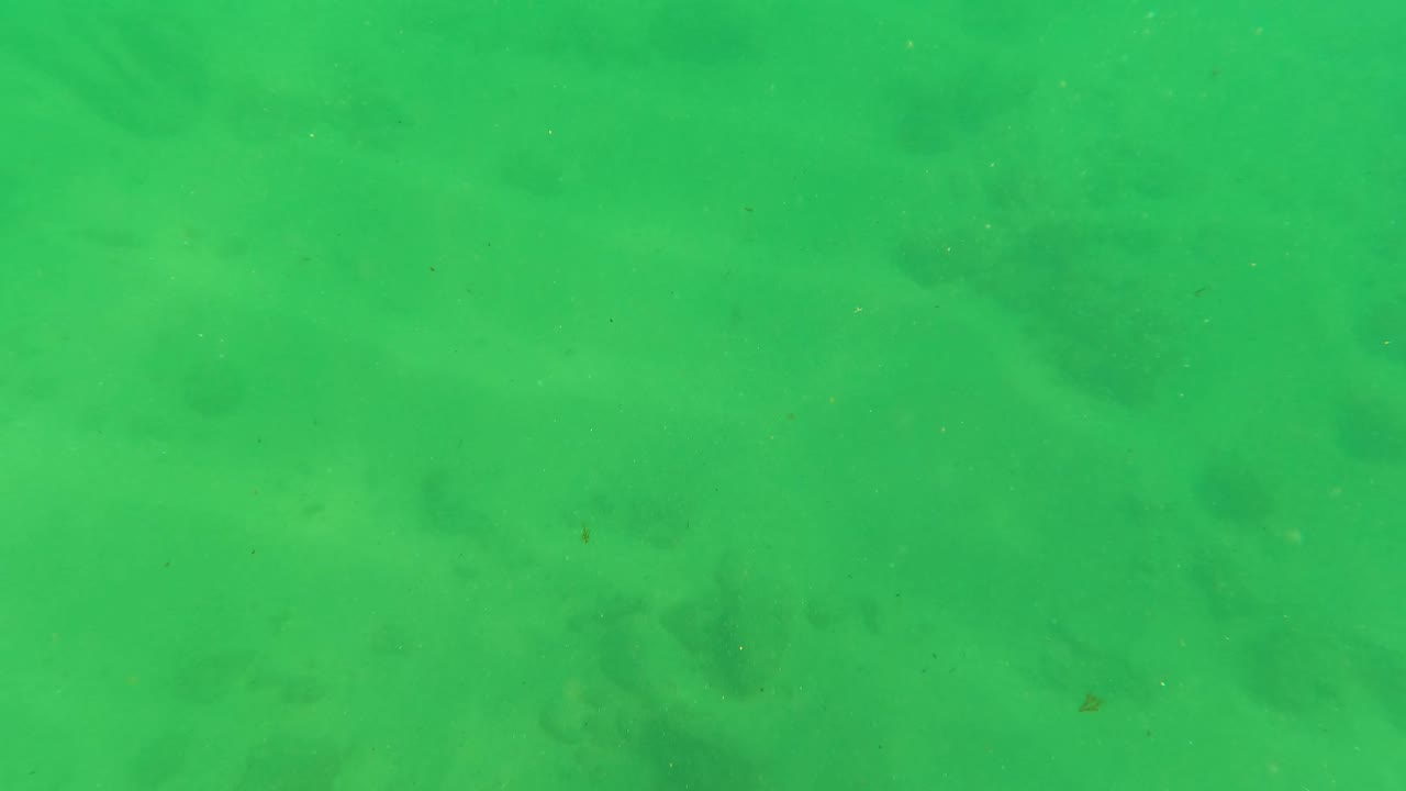 Green underwater view in Los Barriles, Baja California Sur, looking across a sandy seabed with faint darker patches and no visible people.