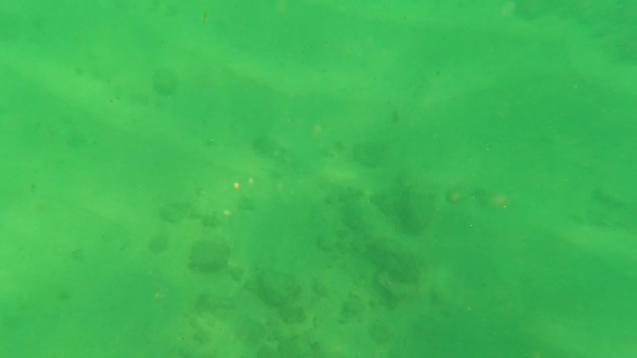Green underwater view in Los Barriles showing a pale sandy seabed with scattered darker patches through clear water and no visible people.