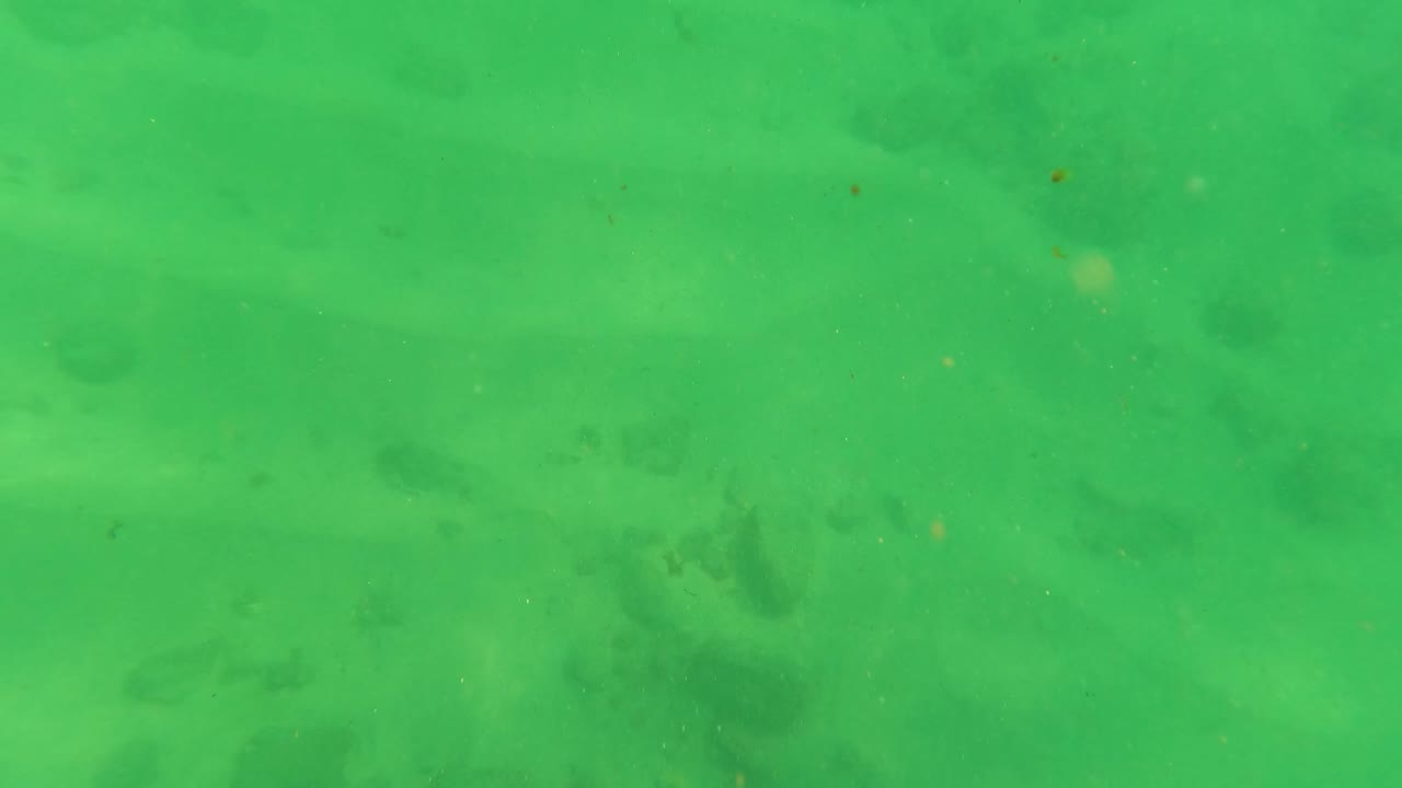 Sandy underwater floor with faint debris and green water