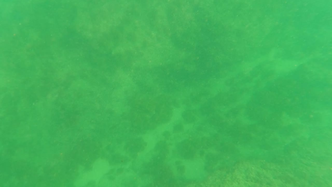 Mid-clip frame from Los Barriles, Baja California Sur, showing green underwater haze over darker seabed vegetation and no visible people.